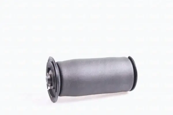 Air Spring, suspension (43-2052)
