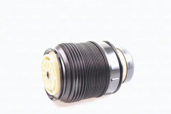 Air Spring, suspension (43-2041)