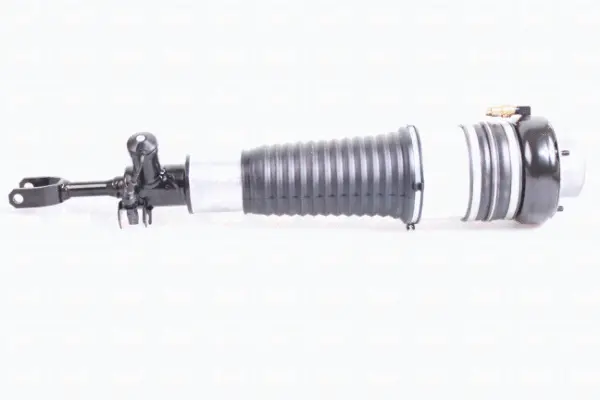 Air Spring, suspension (43-2002)