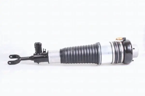 Air Spring, suspension (43-2001)
