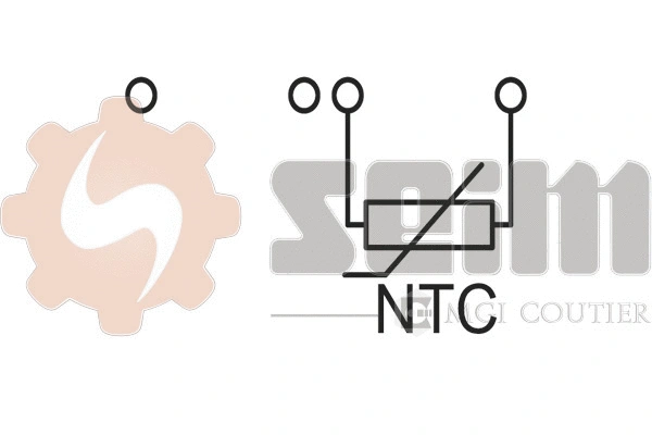 Sensor, intake air temperature (SS87)