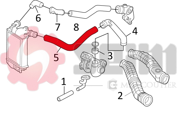 Charge Air Hose