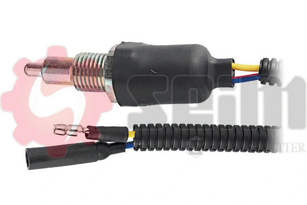 Switch, reverse light