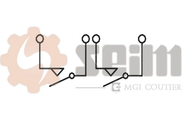 Switch, reverse light (FR117)