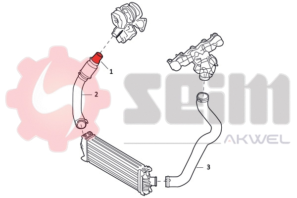Charge Air Hose (981811)