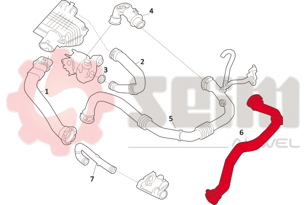 Charge Air Hose (981674)
