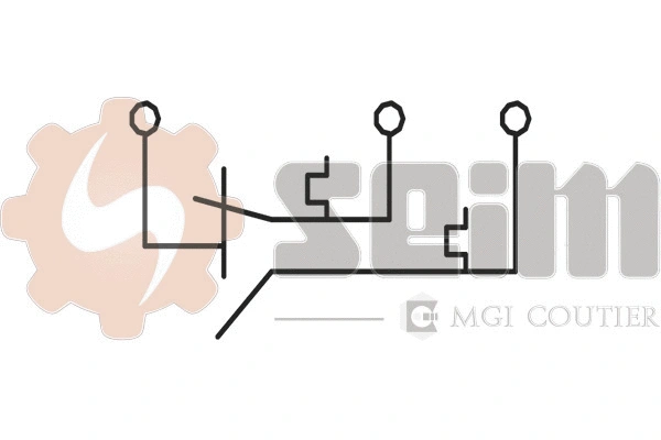Temperature Switch, radiator fan (TH100)