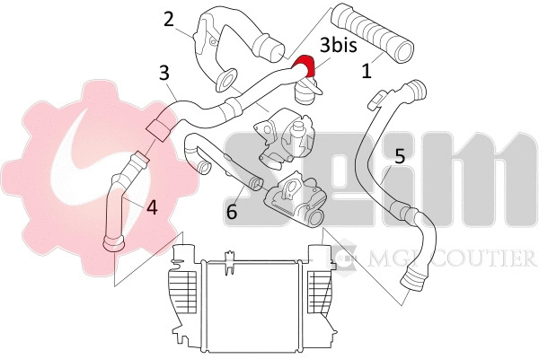 Charge Air Hose (981528)