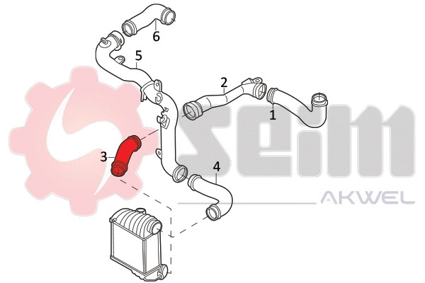 Charge Air Hose (981947)