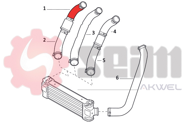 Charge Air Hose (981809)
