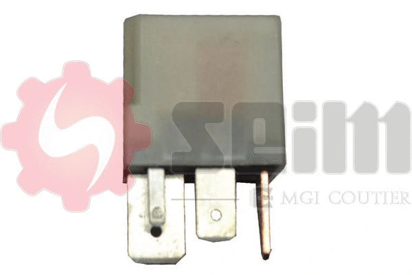 Control Unit, glow time (115800)