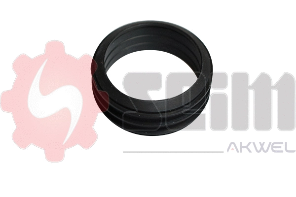 Charge Air Hose (981680)
