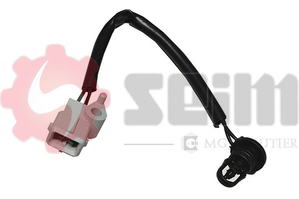 Sensor, intake air temperature