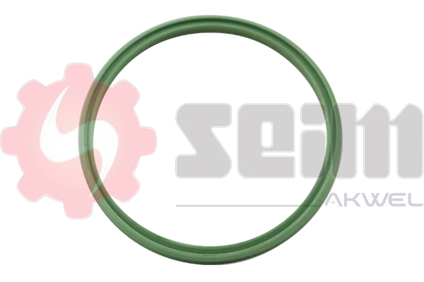 Charge Air Hose (981968)