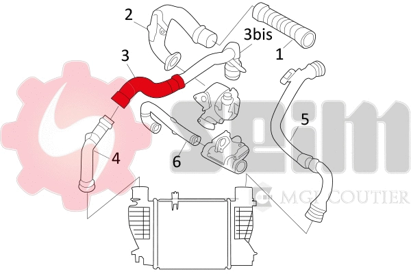 Charge Air Hose (981529)