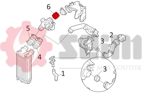 Charge Air Hose