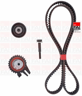 Timing Belt Kit (TBK224)