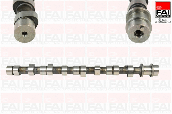 Camshaft (C217)
