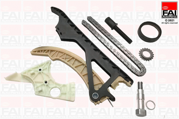 Timing Chain Kit (TCK317VVTWO)