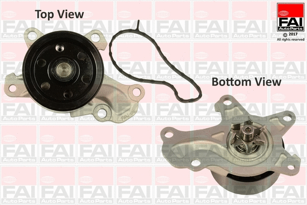 Water Pump, engine cooling (WP6659)