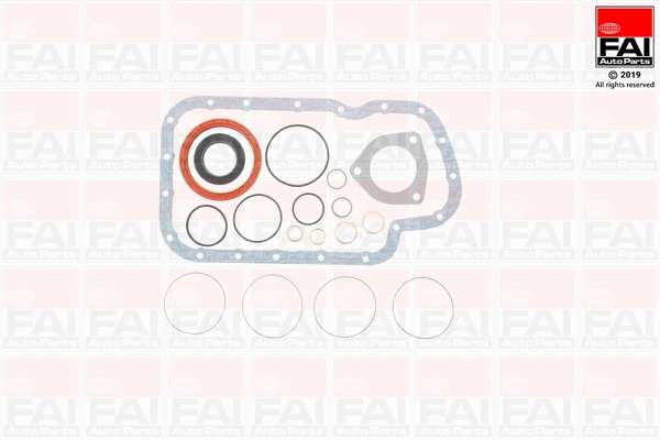 Gasket Kit, crankcase (CS220)