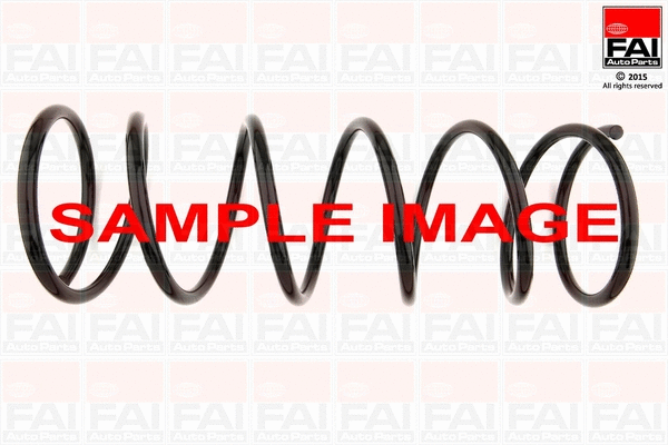 Suspension Spring (SP301)
