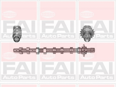 Camshaft (C266)