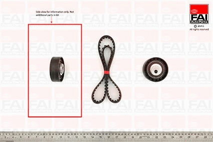 Timing Belt Kit (TBK102)