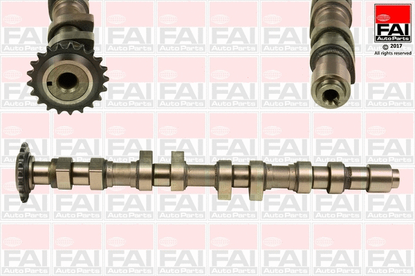 Camshaft (C378)