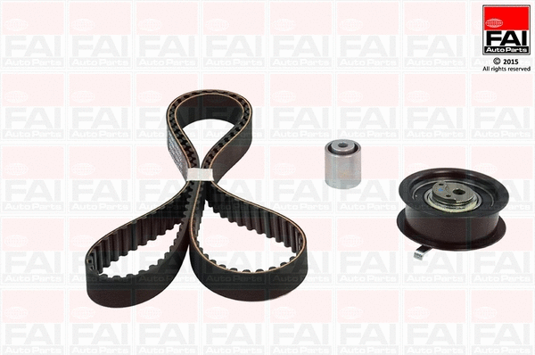 Timing Belt Kit (TBK333)