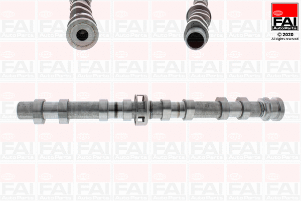 Camshaft (C447)