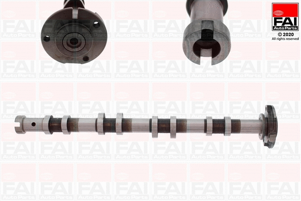 Camshaft (C250)