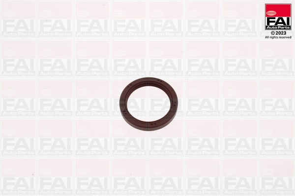 Shaft Seal, crankshaft (OS1220)