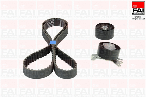 Timing Belt Kit (TBK255)