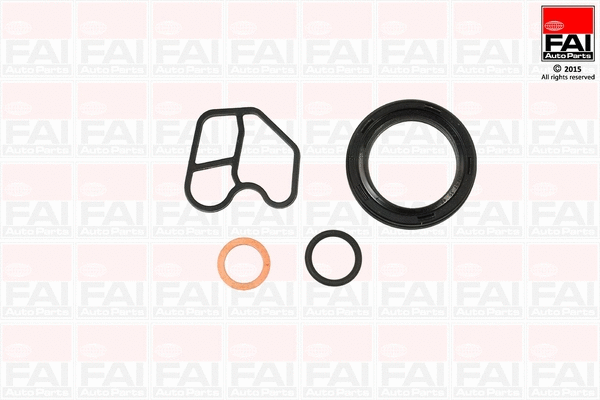 Gasket Kit, crankcase (CS1331)
