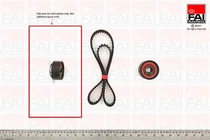 Timing Belt Kit (TBK137)