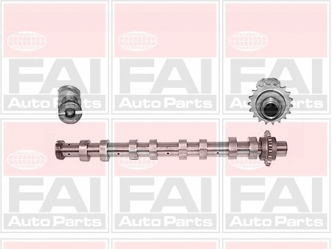 Camshaft (C267)