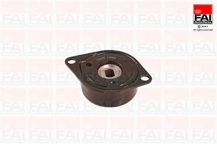 Tensioner Lever, V-ribbed belt (T1005)