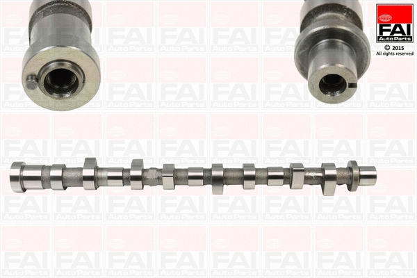 Camshaft (C295)