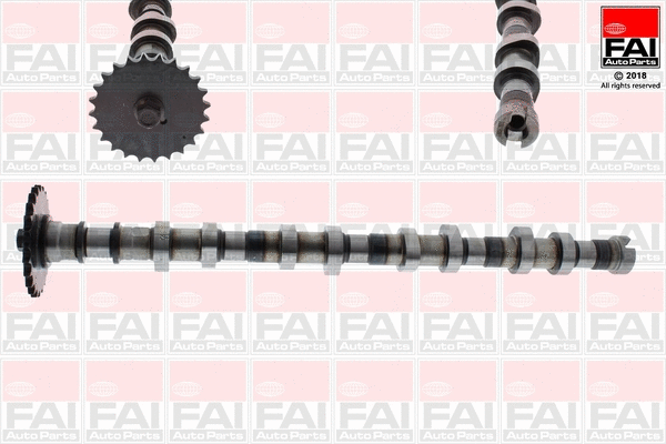 Camshaft (C387)