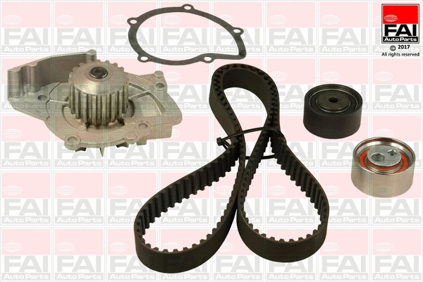 Water Pump & Timing Belt Kit (TBK511-6310)