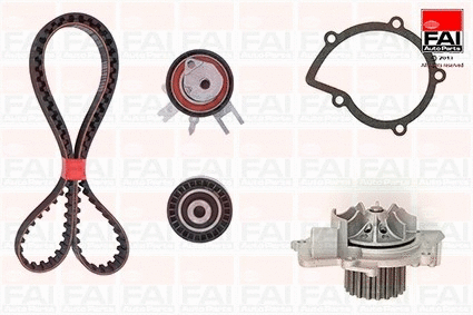 Water Pump & Timing Belt Kit (TBK246-6310)