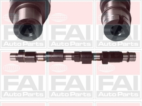 Camshaft (C210)