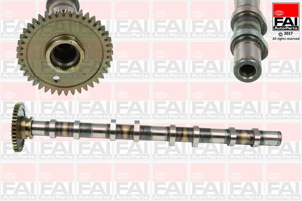 Camshaft (C382)
