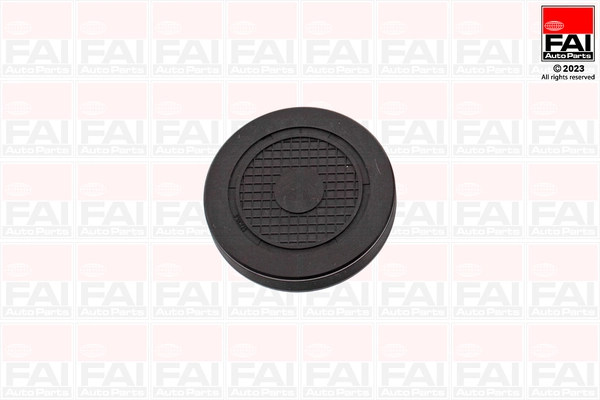 Plug, rocker arm shaft mounting bore (RMG880C)