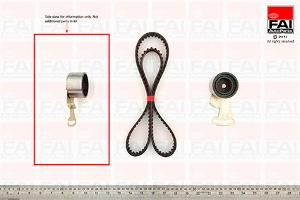 Timing Belt Kit (TBK81)