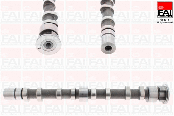 Camshaft (C395)