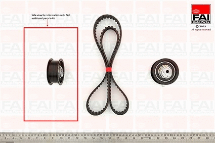 Timing Belt Kit (TBK96)