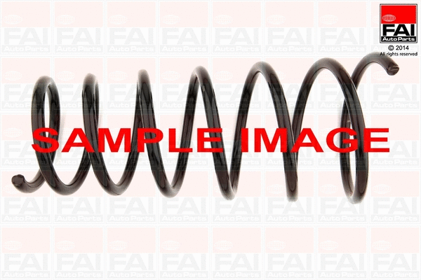 Suspension Spring (SP091)