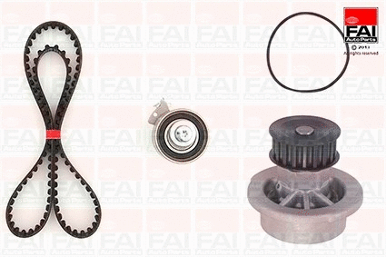 Water Pump & Timing Belt Kit (TBK53-1350)